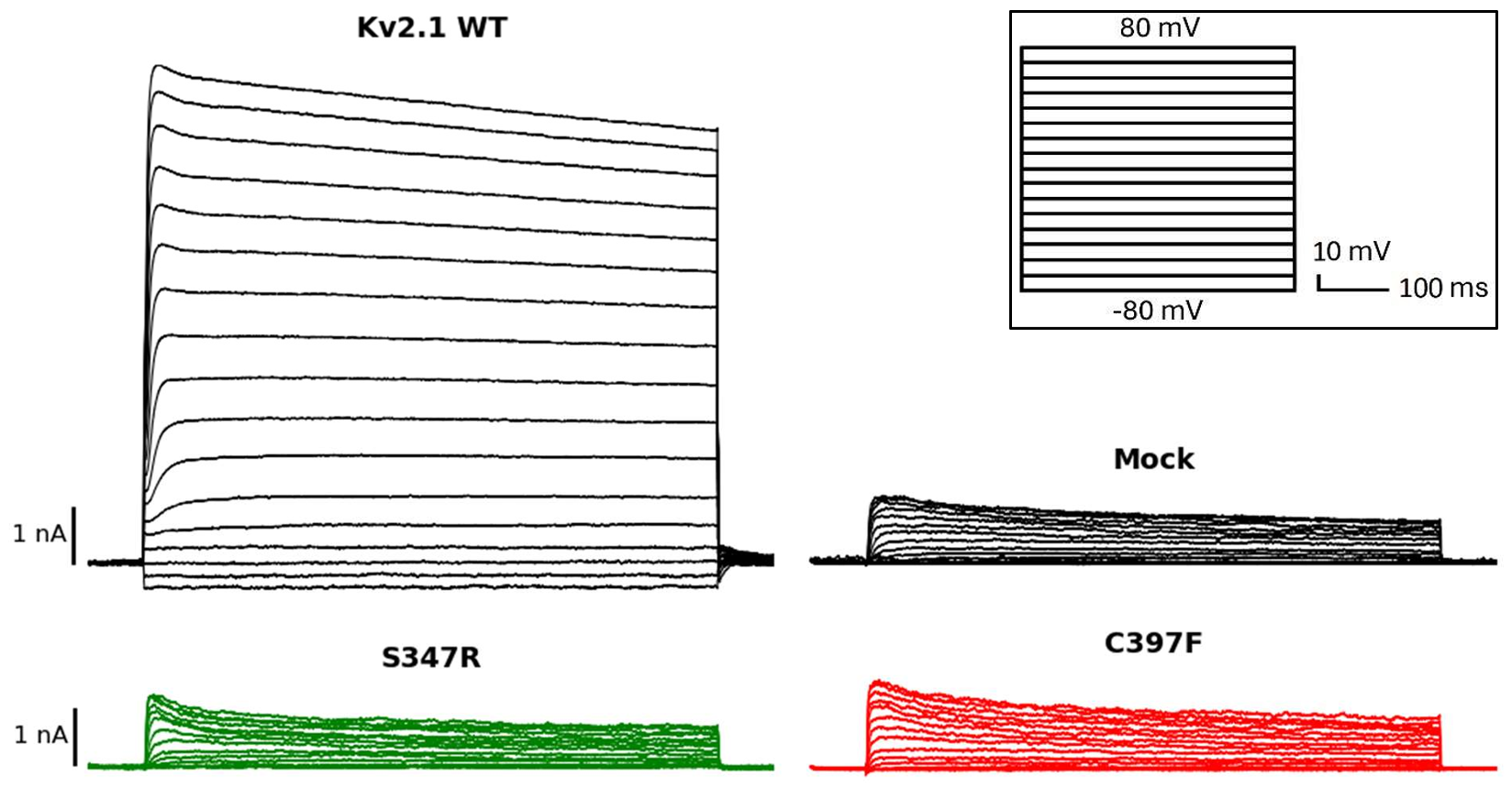 Current intensity vs time